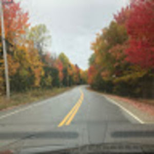 Meet your Posher, Samuel